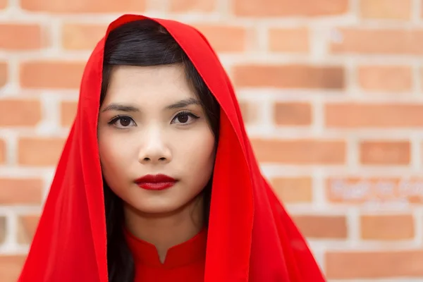 Serene elegante jonge Vietnamese vrouw — Stockfoto