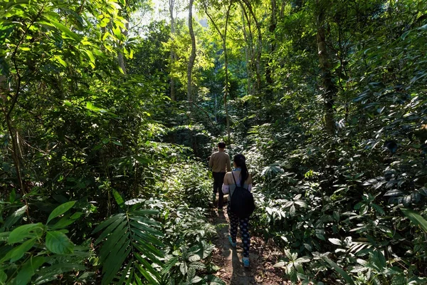 Trekkers in dichte jungle — Stockfoto