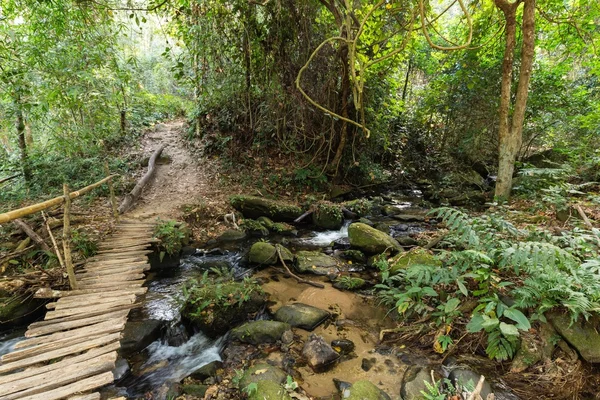 Houten brug in jungle — Stockfoto