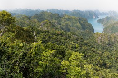 Halong bay adalar