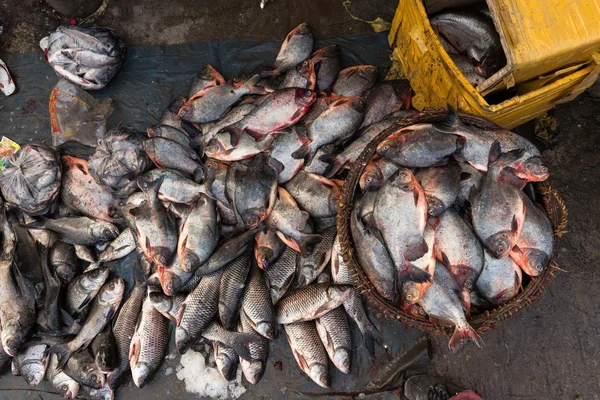 Frische Fische auf dem asiatischen Markt — Stockfoto