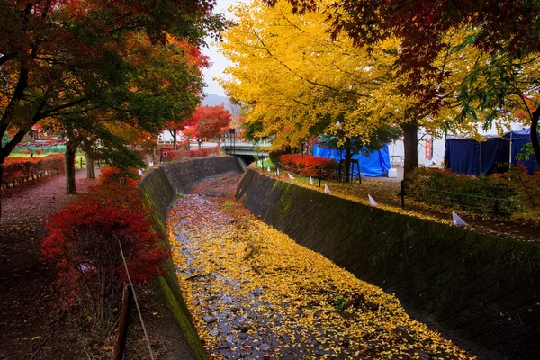 Кленовый туннель осенью, Кавагутико — стоковое фото