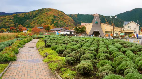 Busshållplats nr 21 "Kawaguchiko lake" — Stockfoto