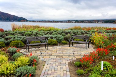 Kawaguchiko lake viewpoint with autumn garden clipart