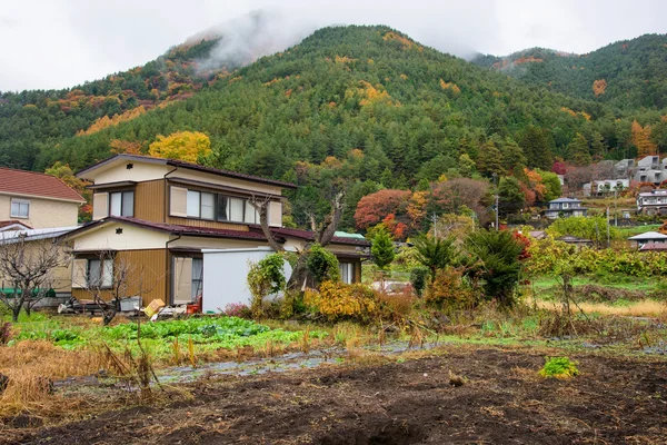 Häuser in der Nähe des Berges bei Kawaguchiko — Stockfoto