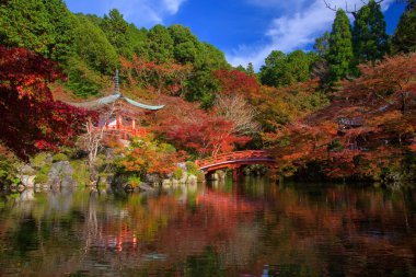 Daigoji Tapınağı ile sonbahar kırmızı akçaağaç, Kyoto