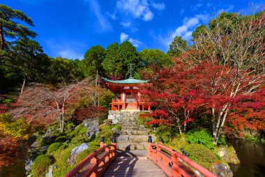 Kyoto Daigoji tapınağında sonbahar yaprakları