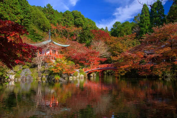 秋のアメリカハナノキ、京都の醍醐寺 — ストック写真