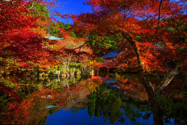 Templo Daigoji con follaje otoñal, Kioto — Foto de Stock