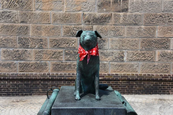 Bunkou hond standbeeld in de buurt van Otaru kanaal. — Stockfoto