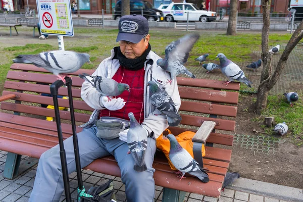 老人は、札幌の大通公園で鳩をフィード — ストック写真