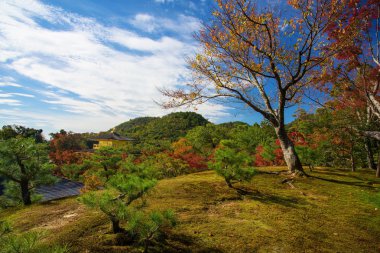 Kinkakuji Tapınağı tarafından Kyoto Üstten Görünüm