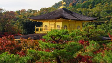 Kinkakuji tapınak altın köşk