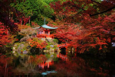 Daigoji Tapınağı Kyoto kırmızı yaprakları ile