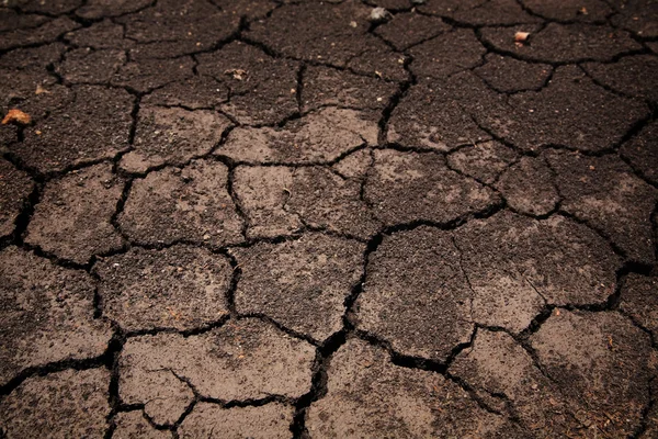 开裂的贫瘠土地或地面 — 图库照片