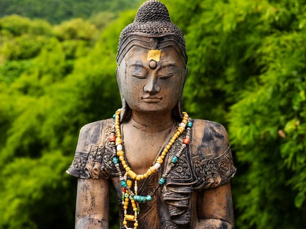 Estatua de Buda de piedra con fondo natural — Foto de Stock