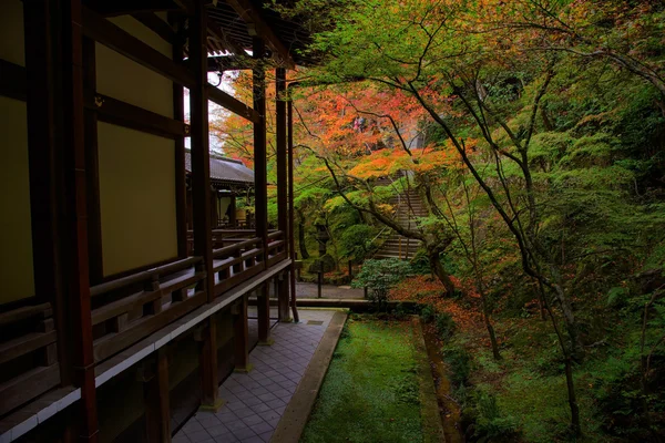 Colores de follaje otoñal en el Templo Eikando —  Fotos de Stock