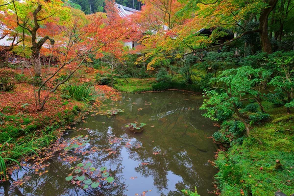 Höstfärger vid dammen i Enkoji tempel, Kyoto — Stockfoto