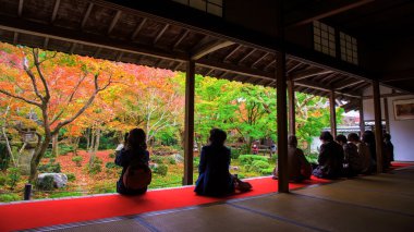 Enkoji Tapınağı'nda Güz, Kyoto turist