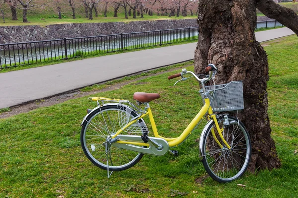 Bicicletta gialla al parco — Foto Stock