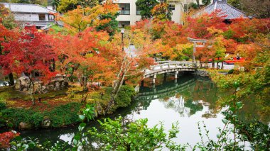 Sonbahar renk ve Eikando Tapınağı, Kyoto Köprüsü