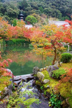Eikando Bahçe sonbahar renkle, Kyoto