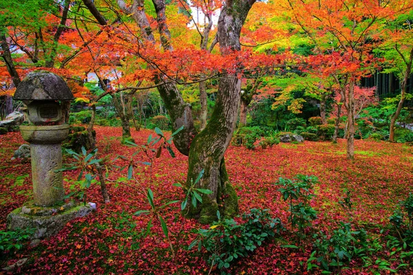 Barevný podzim v Enkoji garden, Kjóto — Stock fotografie