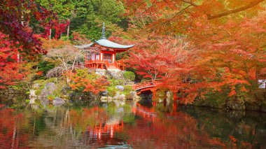 Recai-ji Tapınağı ile sonbahar renk, Kyoto