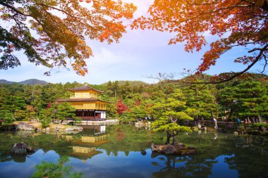Sonbahar, Kyoto tapınakta Kinkakuji