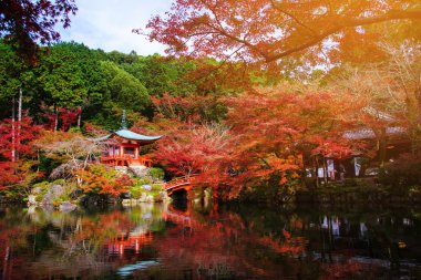 Sonbahar Daigoji tapınakta Kyoto