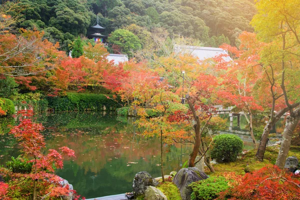 秋の色、京都の永観寺 — ストック写真