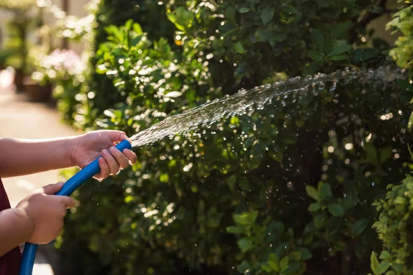 Kid Hands Pouring Water Spray Trees Sunset Blur Foliage Bokeh — Stock Photo, Image