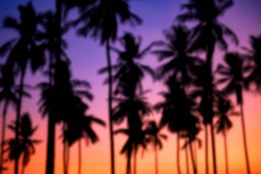 Alacakaranlıkta renkli alacakaranlık gökyüzü, Tayland 'da tropik Krabi sahilinde bulunan siluet palmiyelerinin ya da hindistan cevizi ağaçlarının bulanık doğal arkaplanı. Yaz tatili tatili konsepti.