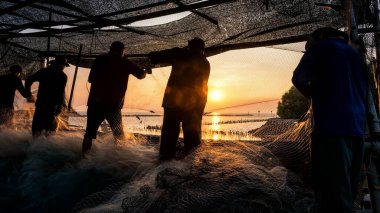 Balıkçılar gün batımında, Samut Prakan, Tayland 'daki sahil limanında balık yakalamak için balık ağları çekiyor. Siluet yerel balıkçı deniz kıyısındaki köy cemaatinde görevli. Uyum içinde takım çalışması.