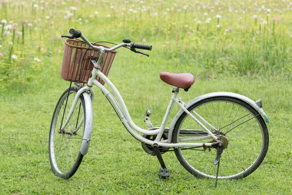 Estacionamento Bicicleta Parque Contra Flor Rosa Florescente Campo Grama Primavera — Fotografia de Stock