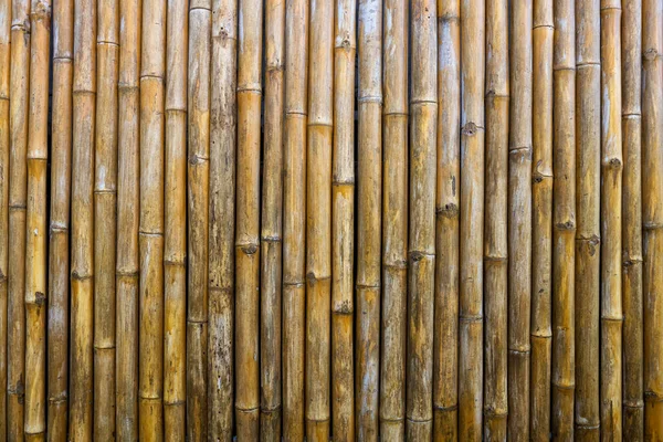 Bamboo Fence Background Wallpaper Old Yellow Wooden Textured Pattern — Stock Photo, Image