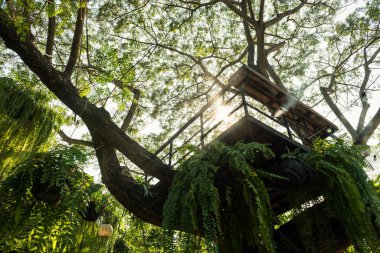 Metal kulübe, gün batımına karşı büyük ağaçta. Bahçe dekorasyonu