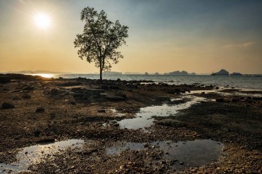Klong Muang 'daki Koh Kwang adasının gün batımında duran siluet ağacı ve Tayland, Krabi' deki Tub kaek plajı. Güney Tayland 'da ünlü bir tatil beldesi. Ufuk çizgisi yansıtmalı deniz manzarası