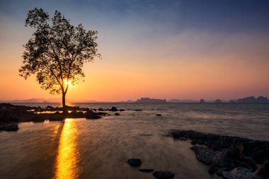 Gün batımında ayakta duran siluet ağacı ve hareketli deniz manzarası. Tayland, Krabi 'deki Koh Kwang adasının açık gölgesi. Yaz tatilinde ünlü tatil beldesi.