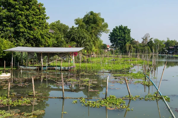 Fisherman Boat Local Village River Canal Pathum Thani Thailand Traditional — Foto de Stock