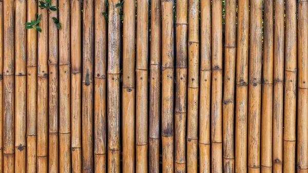 緑の木の葉を持つ古い茶色の竹の壁は テクスチャの自然抽象的な背景 庭の装飾や家の外観デザイン — ストック写真