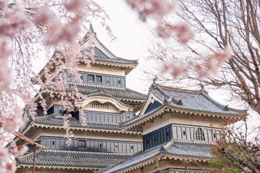 Japonya 'nın Nagano kentindeki kiraz çiçekli Matsumoto şatosu. Baharda ünlü seyahat beldesi.