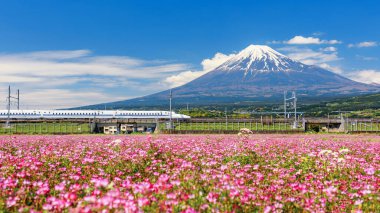 Shinkansen ya da JR Bullet treni Japonya 'nın Shizuoka şehrindeki Fji şehrinde ilkbaharda ve mavi gökyüzünde Fuji ve Shibazakura Dağı' ndan geçer. Tokyo ve Osaka arasında süper hızlı tren N700 transit.