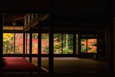 Tenju-an ya da Tenjuan ahşap tapınak salonu güzel sonbahar yaprakları ile pencere kenarındaki ağaçlar, Kyoto, Japonya. Sonbahar mevsiminde Kansai 'de ünlü bir seyahat yeri..
