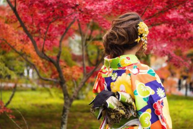 Geleneksel renkli kimonolu Japon kadının arka portresi Japonya 'nın Kyoto kentinde Nanzen-ji tapınağındaki sonbahar kırmızı akçaağaç bahçelerinin tadını çıkarıyor. Sonbahar mevsiminde Kansai 'de ünlü bir seyahat yeri..