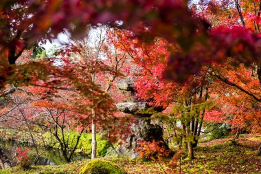 Japonya, Kyoto 'da güzel bir sonbahar renkli parkı olan Eikando tapınağında taş heykel. Sonbahar mevsiminde Kansai 'de ünlü bir seyahat yeri. Kırmızı akçaağaç yaprakları Kasım sonlarında bahçede.