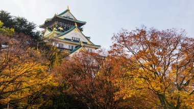 Japonya 'da sonbahar ginkgo yapraklı Osaka kalesi. Kansai 'nin ünlü tatil beldesi..