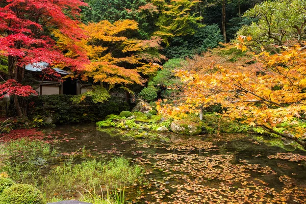 Hermoso Jardín Follaje Otoño Con Templo Madera Alrededor Del Estanque —  Fotos de Stock