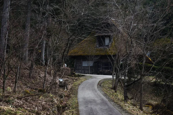 Traditional Gassho Sukuri Farmhouses Old Wood Houses Hill Dry Tree — Stock Photo, Image