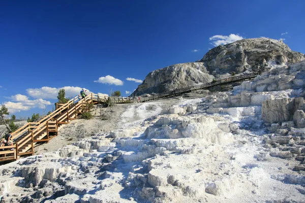 Tourist Walking Boardwalk Upper Terrace Mammoth Hot Springs Yellowstone National — Φωτογραφία Αρχείου